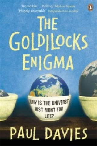 The Goldilocks Enigma - P. Davies
