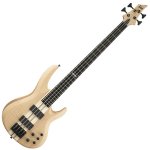 ESP-LTD B-1004