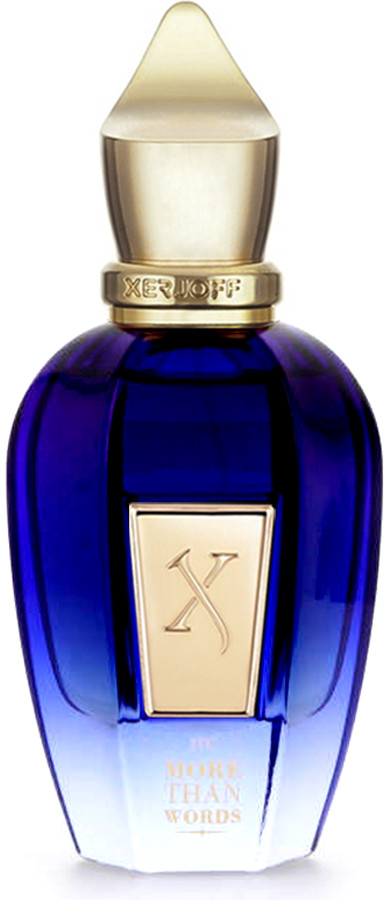 Xerjoff Join the Club More Than Words parfémovaná voda unisex 100 ml tester