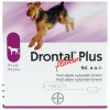 Drontal Plus flavour a.u.v. tbl.1×2