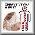 Bylinná směs ČAJ PRO TĚHOTNÉ