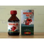 Rakytníkový olej 100 ml