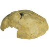 ExoTerra Reptile Cave extra velká 29 x 27 x 13cm