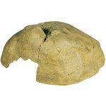 ExoTerra Reptile Cave extra velká 29 x 27 x 13cm