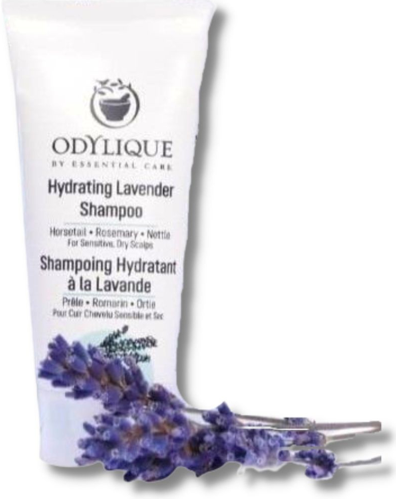 Odylique Hydratační šampon Lavender 20 ml
