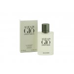 Giorgio Armani Aqua di Gio pour Homme toaletní voda 100 ml
