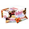 Nutrend Wellness Cake 67g Nutrend Wellness Cake 67g