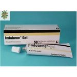 INDOBENE GEL 1X100GM
