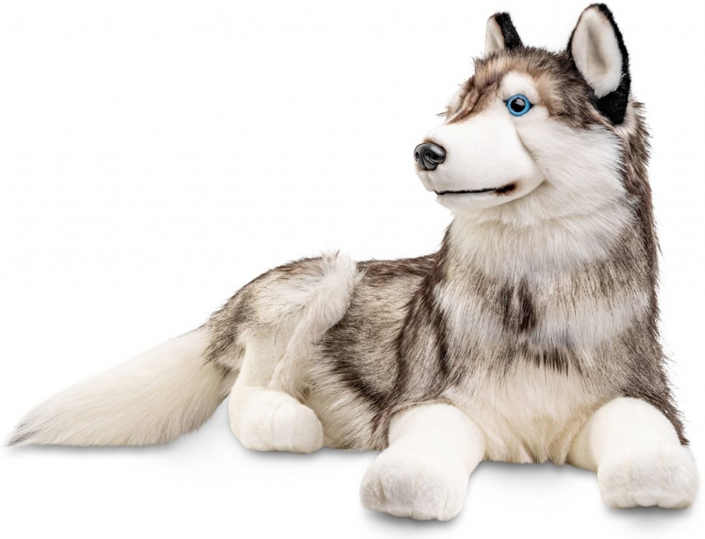 Husky 100 cm