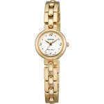 Orient LUB89001W