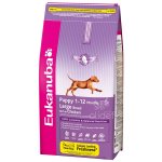 Eukanuba Puppy & Junior Large Breed 15kg
