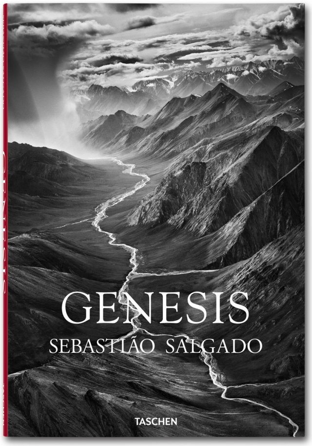 fo-Salgado-Genesis –