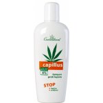 Cannaderm Capillus Šampon proti lupům 150 ml