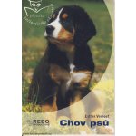 Chov psů - Příručka začínajícího chovatele (Verhoef - Verhallen Esther)