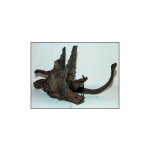Decor Wood Kořen Driftwood Bulk L