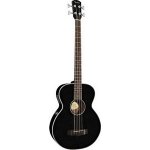 Fender BG 31