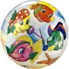 Míč Piráti 23 cm