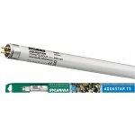 Zářivka AQUASTAR T5, 24W, 549mm