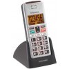 SWISSVOICE MP01