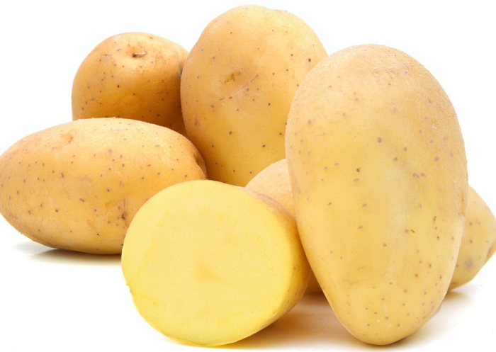 Sadbové brambory Monique - Solanum tuberosum - brambory - 10 ks