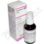 CANDIBENE 1% SPRAY SPR 1X40ML 10MG/ML