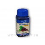 VitaHarmony Antioxidant New Formula 60 tobolek