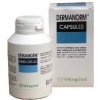 VETOQUINOL Dermanorm - přípravek s vitamíny pro psy 250ks VETOQUINOL Dermanorm - přípravek s vitamíny pro psy 250ks