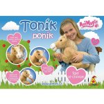 Poník Toník