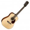 Cort Earth 70-12E