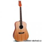 Ashton D 20