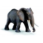 Schleich Slon africký