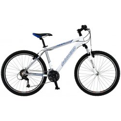 Schwinn Mesa GS 2009