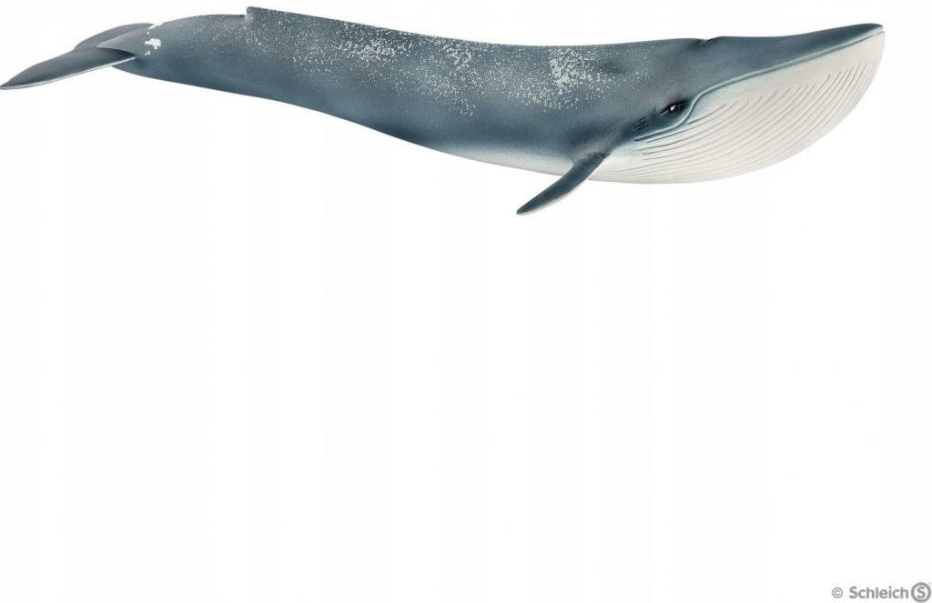 Schleich 14806 zvířátko velryba