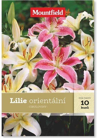 Lilie orientální 10ks