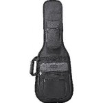 FENDER Deluxe Strat/Tele Double Gig Bag