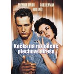 Kočka Na Rozpálené Plechové Střeše