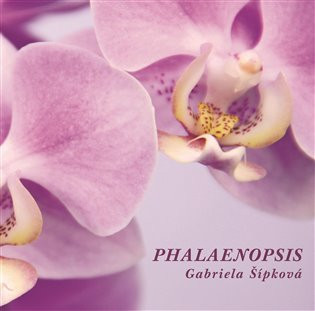 Phalaenopis - Šípková Gabriela