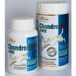 Chondrocan Forte 150g