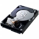 Samsung SpinPoint F1 750GB, 3,5", SATA, 32MB, SATAII, RAID, HE753LJ