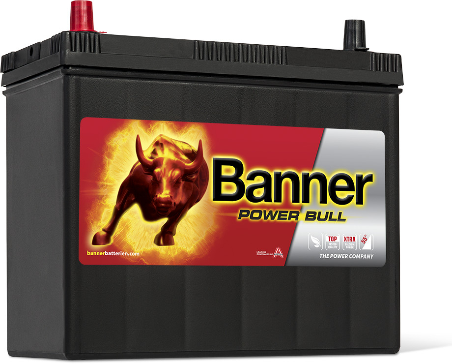 Banner Power Bull 12V 45Ah 360A P45 24