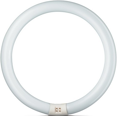 Philips Kruhová zářivka Master TL-E 22W/840 G10q studená bílá