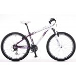Scott Contessa 40