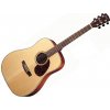 Cort Earth 100F