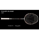 CARLTON POWER SURGE 700