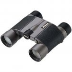 Nikon 10x25 HG L DCF
