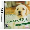 Labrador and Friends