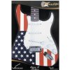 Nalepovací fólie na kytaru Stratocaster Starts n Stripes