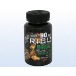 Extrifit Bulgarian Tribu 90% 100 kapslí