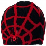 Čepice Spyder Men`s Web 113925-001