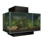 Aquarium 3D Fluval Edge Black 23 l
